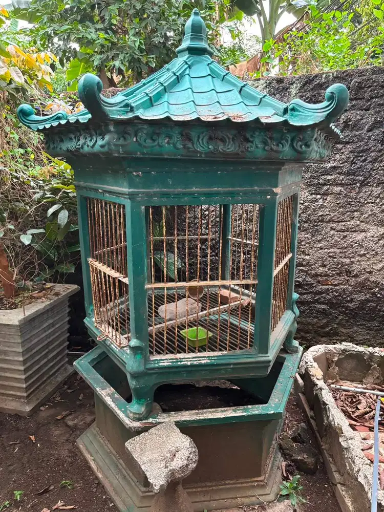 kandang ayam/burung hias