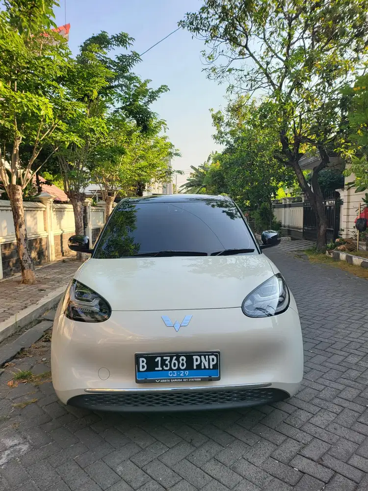WULING BINGUO PRO EV LISTRIK TAHUN 2025 NIK 2024