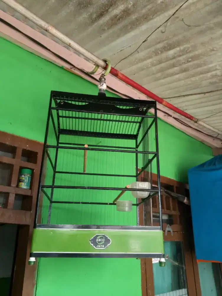 Kandang Ebod edisi terbaru
