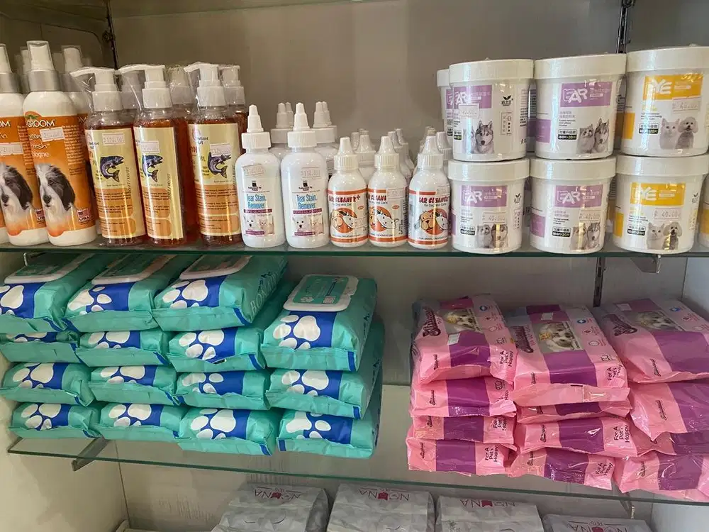 Lowongan Kasir Petshop