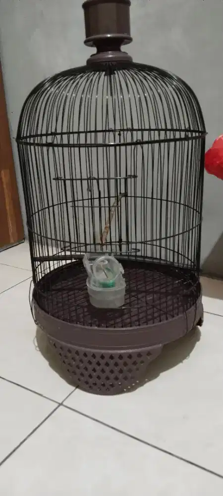 Di jual kandang besi