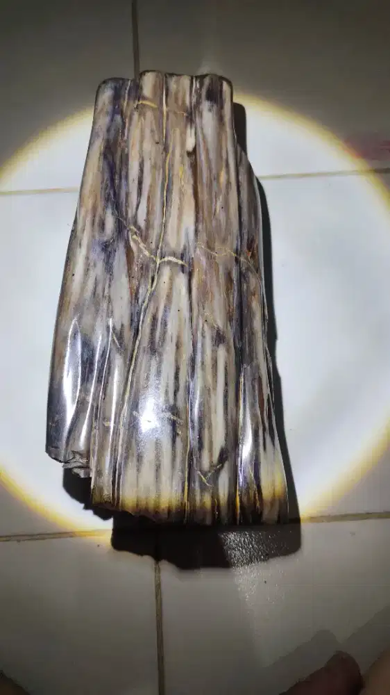 Batu Fosil Kayu