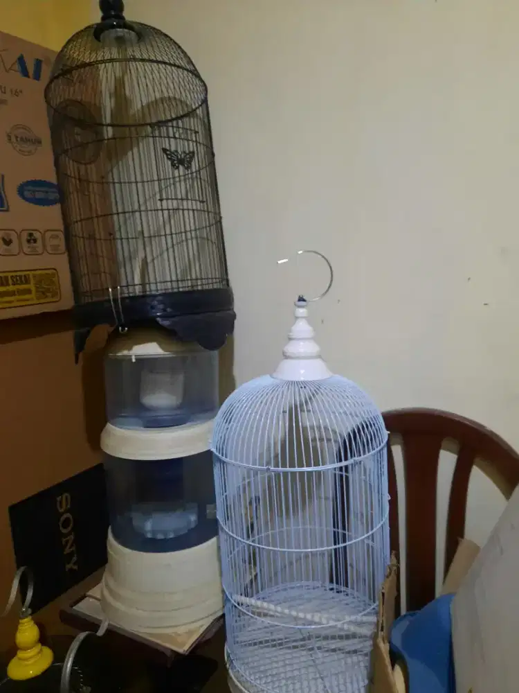 Kandang sangkar love bird kenari