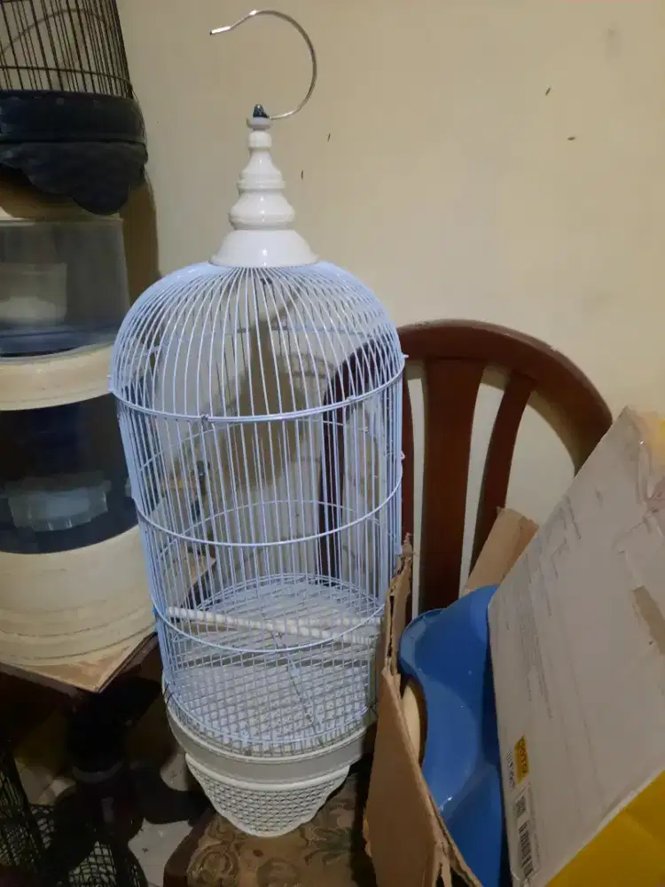 Kandang sangkar love bird kenari