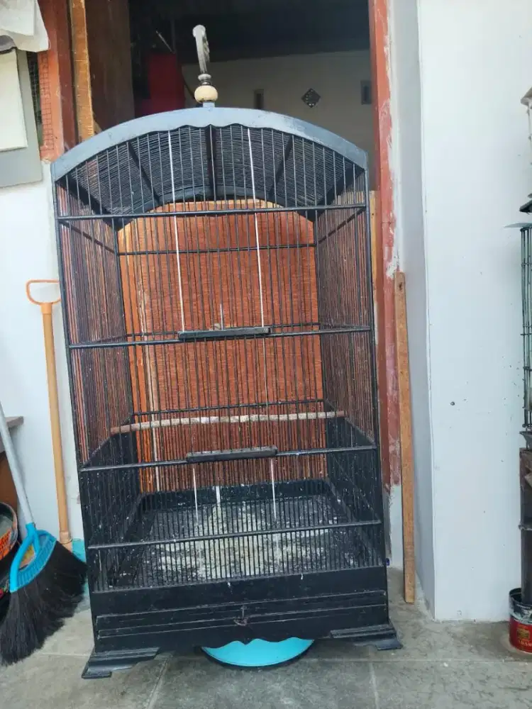Sangkar Murai Batu kotak uk 50x50