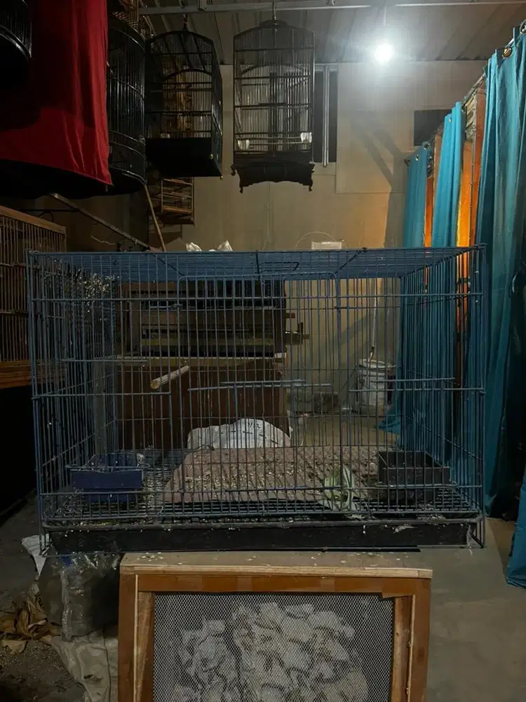 Sangkar pok besi 40 x 40 x 60