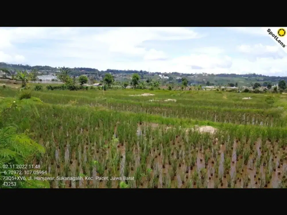 Dijual Cepat Tanah/lahan luas lokasi strategis dekat Puncak pass
