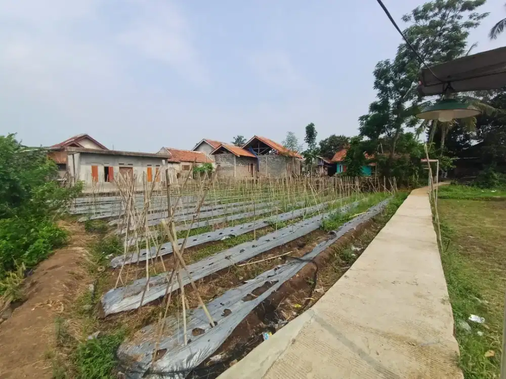 Dijual tanah produktif SHM luas 536 m2
