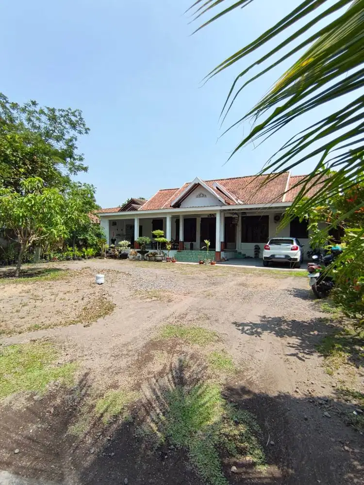 Rumah Halaman Luas Nuansa Pedesaan di Bimomartani