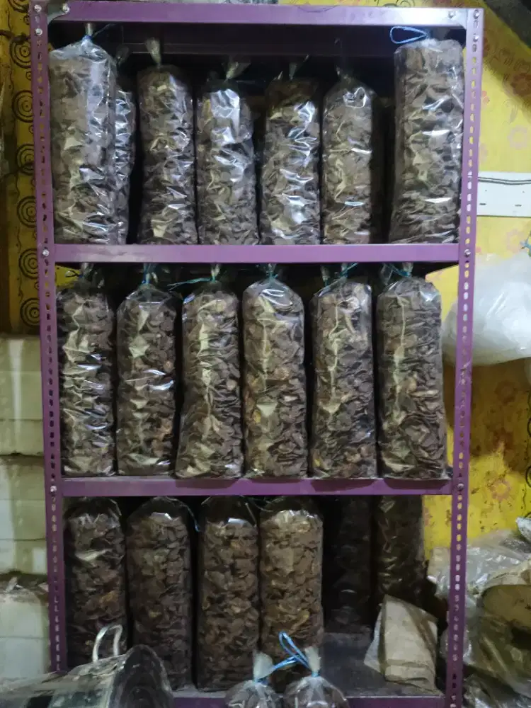 Pisang coklat Lampung