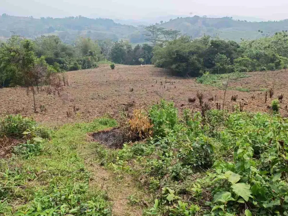 di jual tanah darat