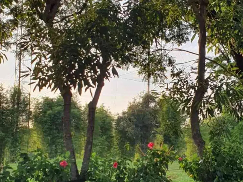 Imperial Golf Regency