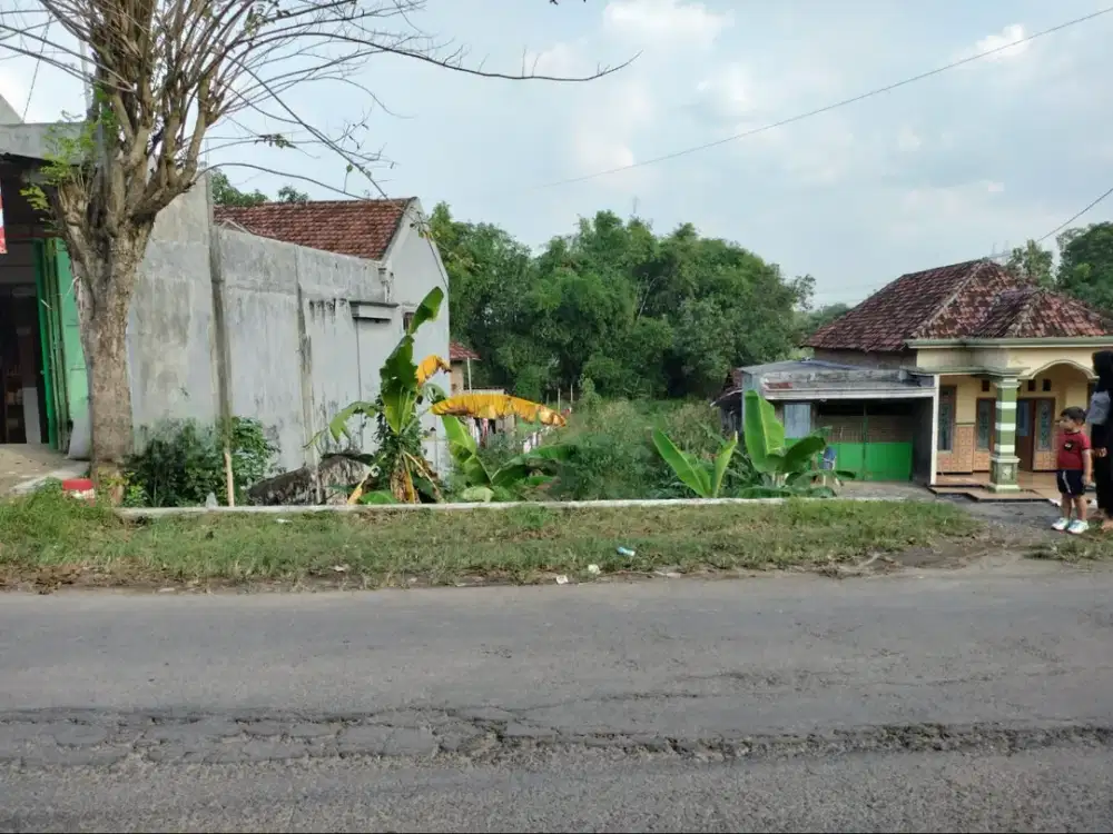 Dijual Kavling Tanah Siap Bangun Luas 557m 9x62 Lokasi Strategis Gresik