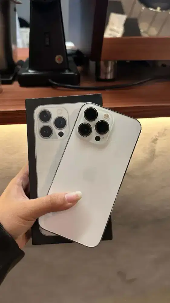 iPhone 13 Pro Nominus