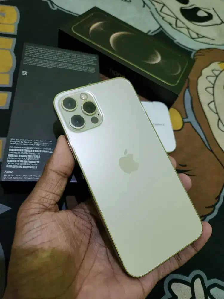 IPhone 12PRO 256GB Mulus whitelist