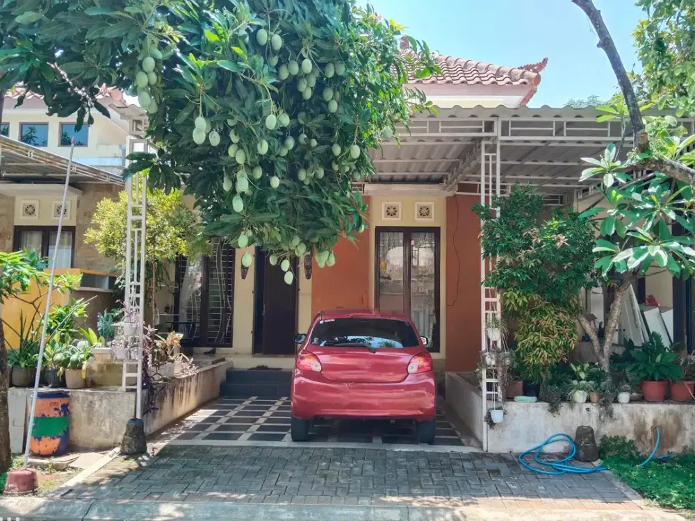 Rumah Bagus Beranda Bali, BSB City Semarang