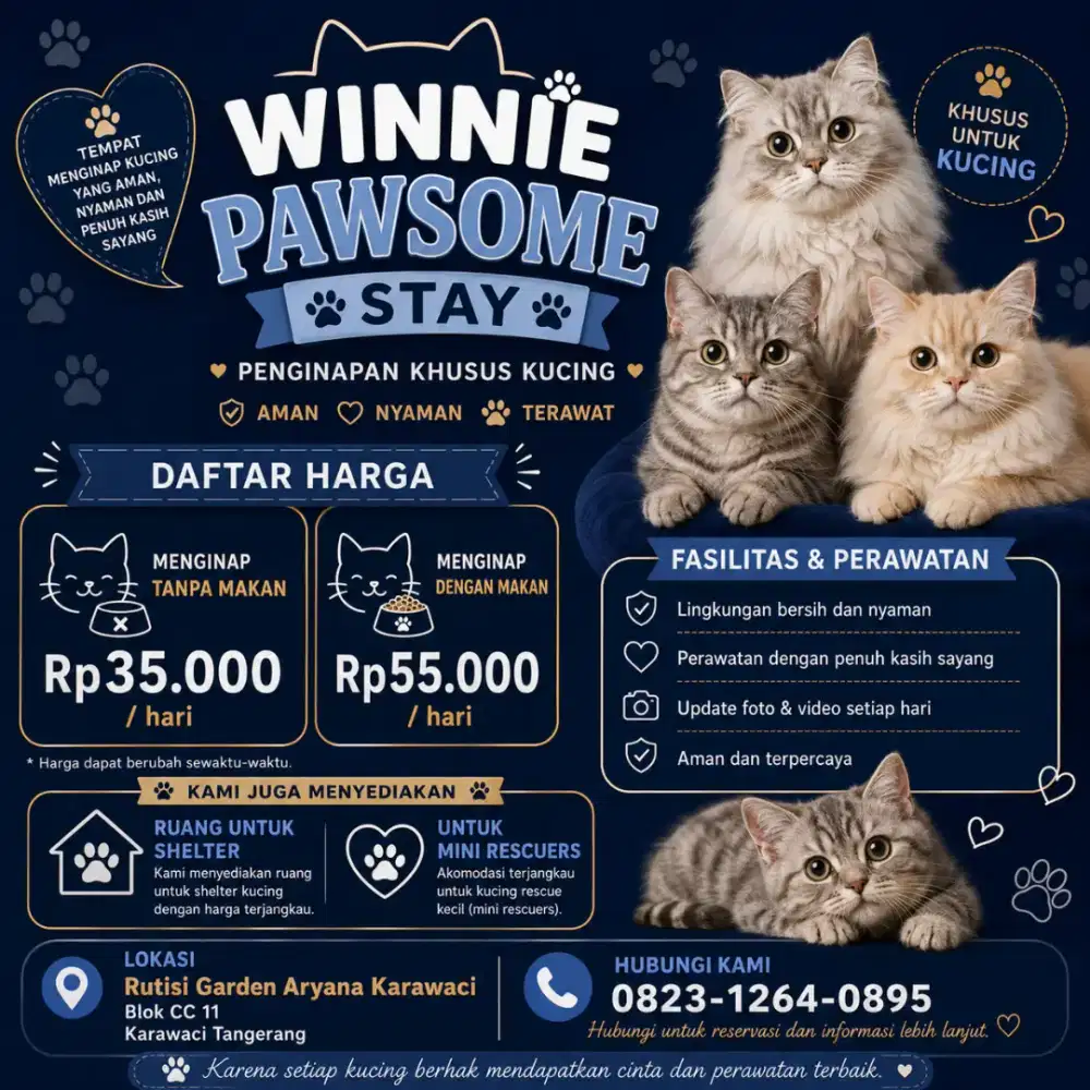Cat hotel boarding