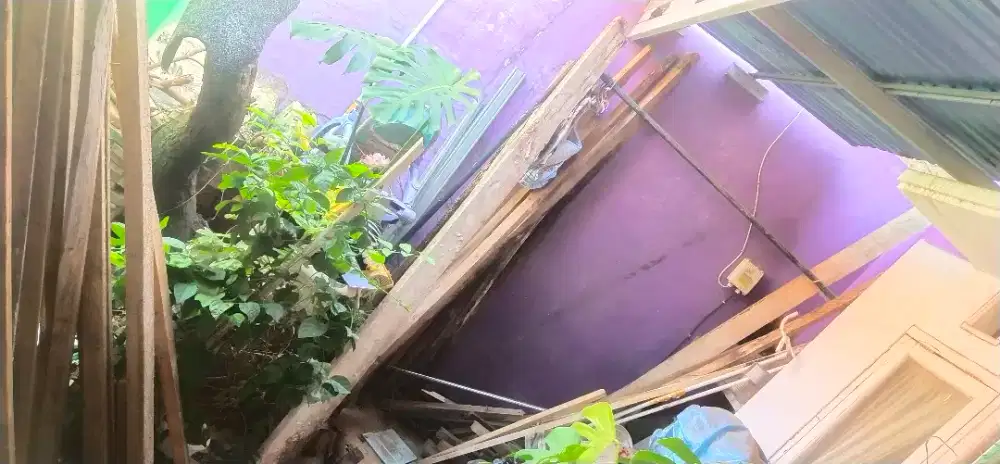 jual kayu bekas