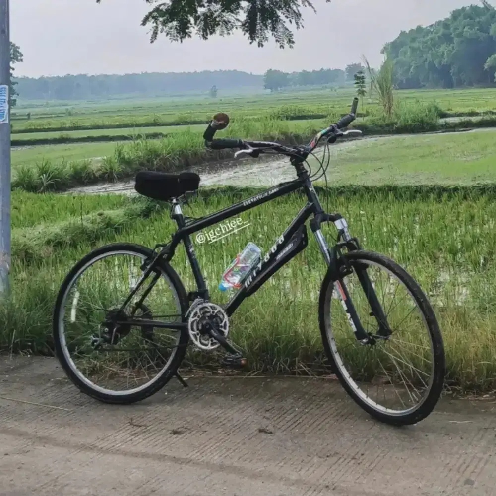 Miyata Elevation 2000 (NEGO)