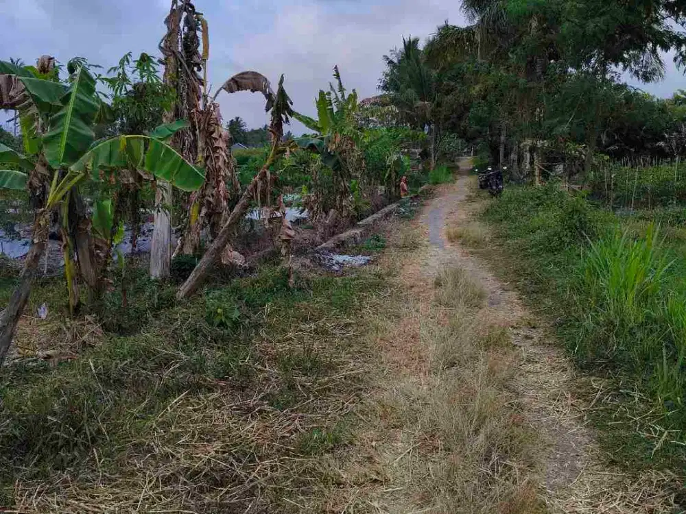 Dijual Cepat Tanah di Candibinangun Pakem Sleman Yogyakarta