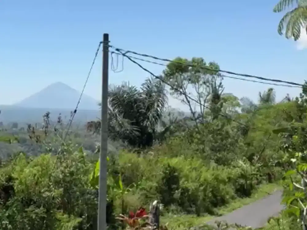 Dijual Lahan Perkebunan dengan View Pegunungan yang Indah