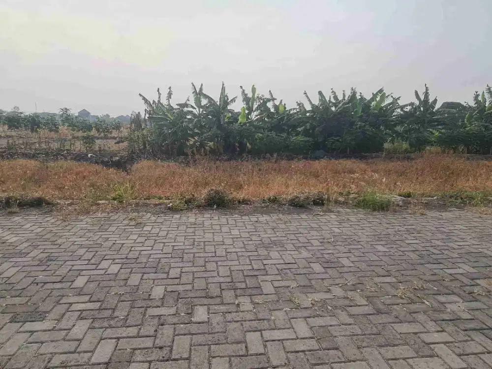Dijual Tanah Kavling Di Menganti Gresik Dekat Pasar Menganti