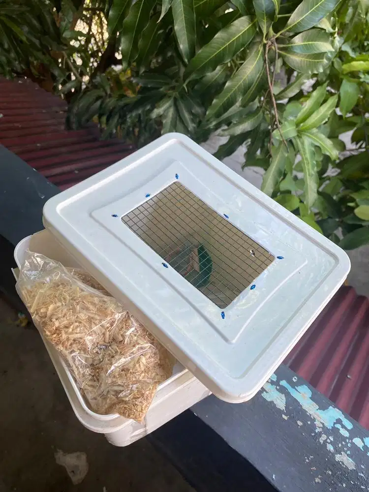 Paket Peliharaan Hamster