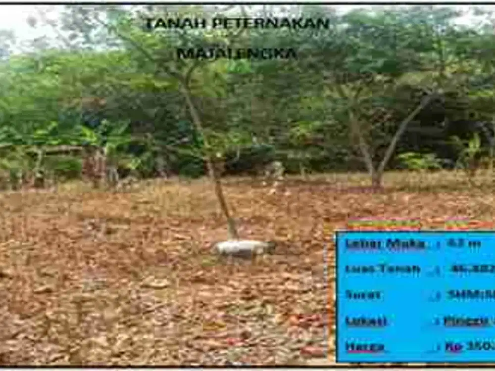 Tanah peternakan majalengka