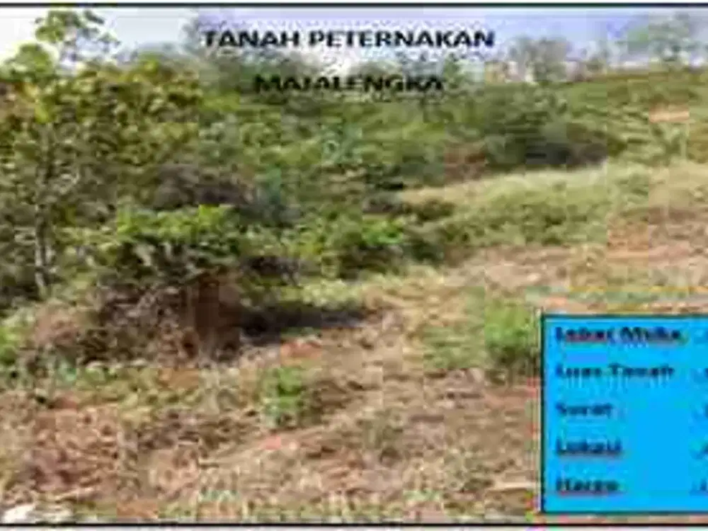 Tanah peternakan Majalengka