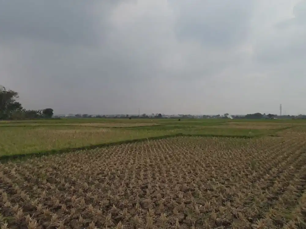Jual Tanah Kosong 4,5Ha di Bandung Selatan Marga Asih Pinggir Jalan