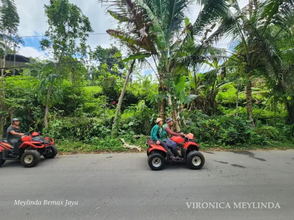 TANAH KAVLING DIJUAL – PAYANGAN, GIANYAR