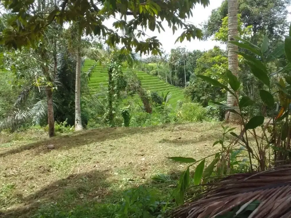 Dijual Tanah dengan View Pegunungan dan Sunrise