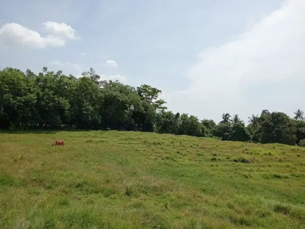 Dijual Lahan Premium Kontur Tinggi dengan View Laut Lepas