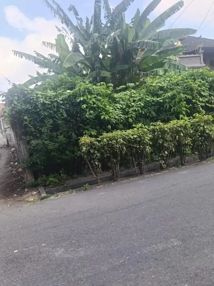 Tanah murah luas 328 m2 di Jl Cargo Denpasar Bali