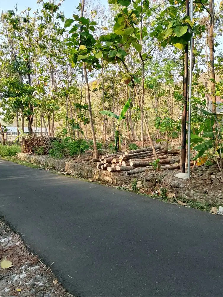 Dijual tanah strategis pinggir jalan dekat fasilitas umum