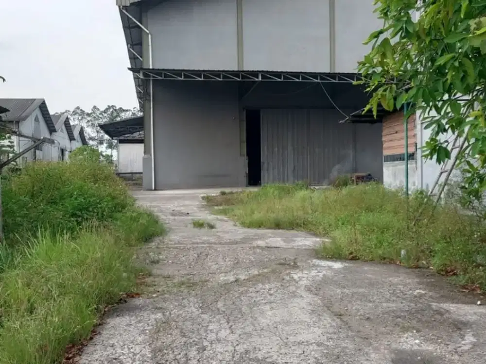 Disewa Gudang, Ada Kantor & Lokasi Strategis di Tangerang, Jawa Barat
