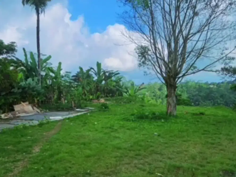 Dijual Tanah dengan Pemandangan Terbuka yang Indah
