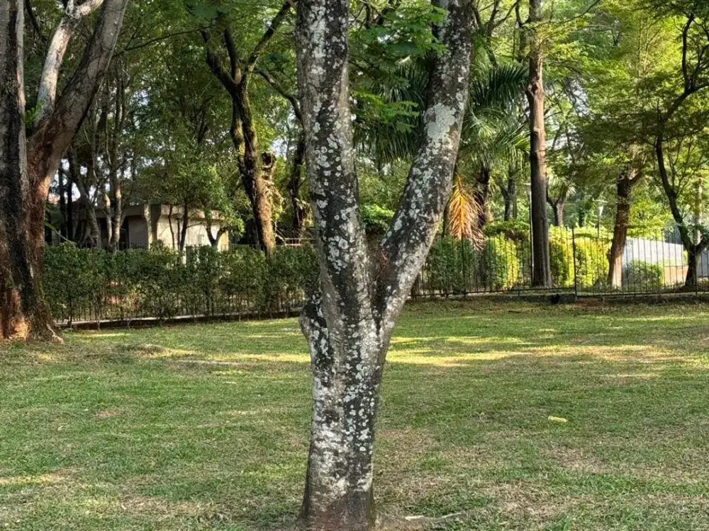 DIJUAL KAVLING LUAS SEBELAH CLUBHOUSE - FORESTA GIARDINA BSD CITY