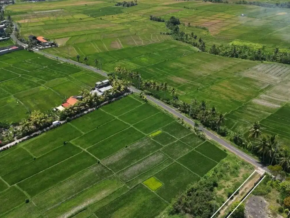 TANAH DIJUAL – BUWIT, MUNGGU.