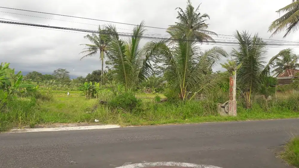 Tanah pekarangan datar, bentuk persegi, lokasi sangat strategis