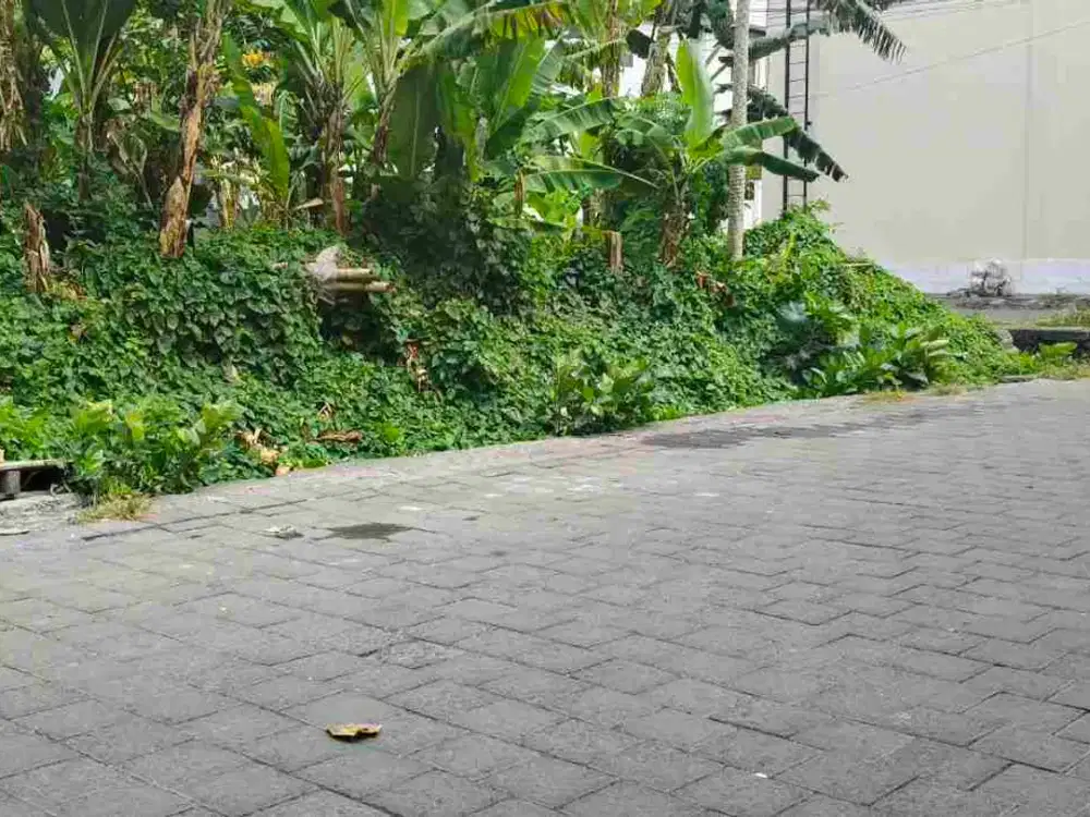 TANAH GUNUNG TALANG DENPASAR BARAT DIJUAL TANAH PLOT KECIL LINGKUNGAN PERUMAHAN POSISI HOOK HADAP TIMUR DAN UTARA BISA BUAT 2 UNIT RUMAH
