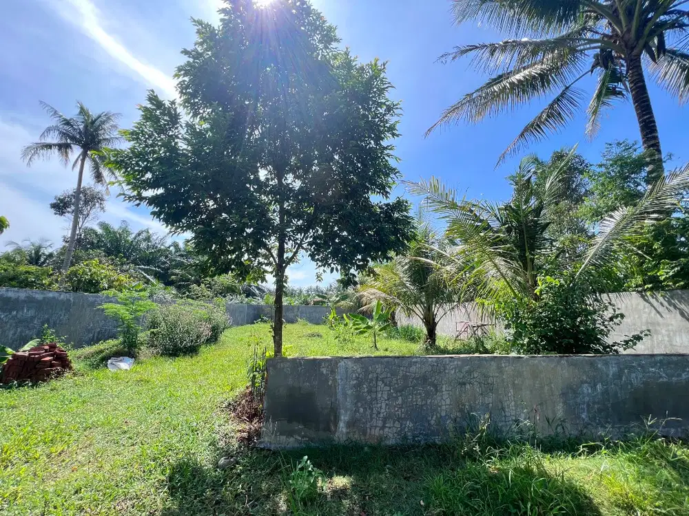 Tanah ini dijual