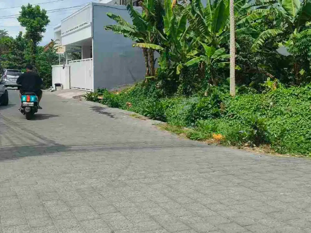 JUAL TANAH MURAH GUNUNG TALANG DEKAT MAHENDRADATTA DENPASAR BARAT