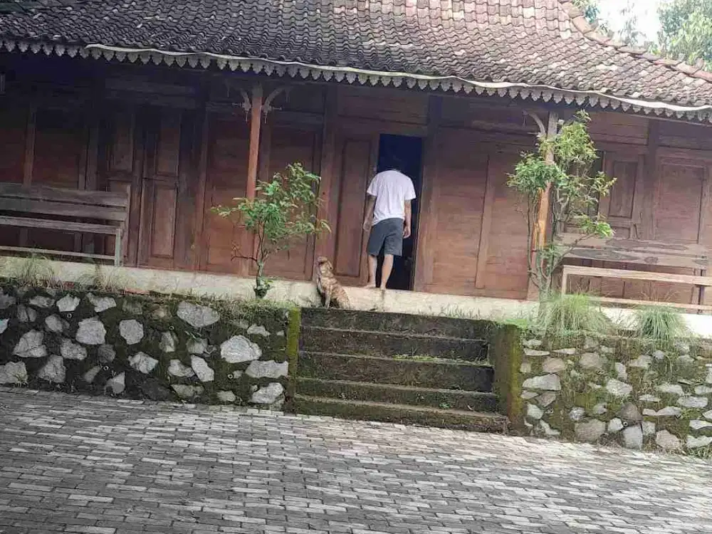 Dijual Murah Tanah Kebun Bonus Rumah Joglo Dekat Exit Tol Darangdan