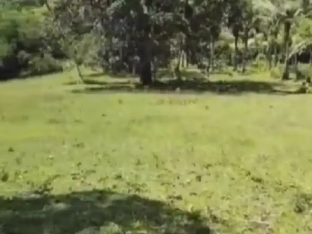 Dijual Lahan Zona Kuning Cocok untuk Bangun Villa/Resort