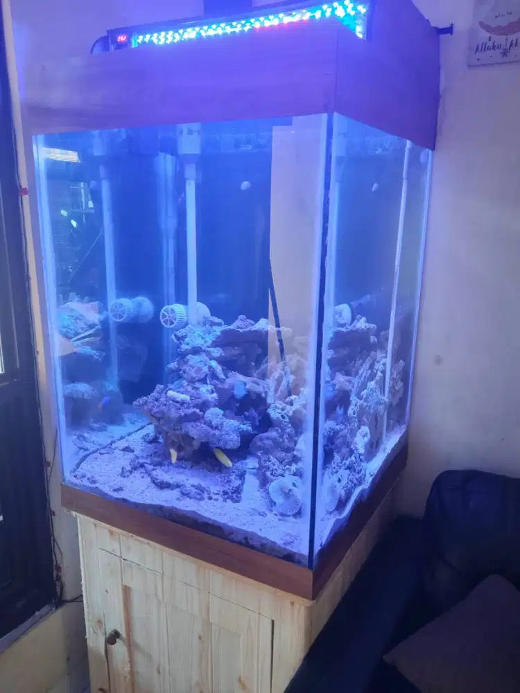 Aquarium fullset murah aja