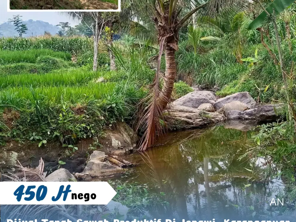 Dijual Tanah Sawah Produktif Di Jenawi, Karanganyar, Jawa Tengah