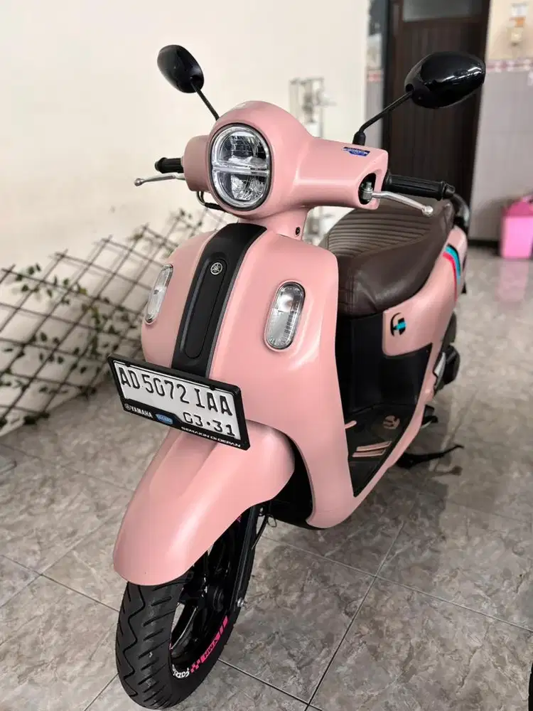 FAZZIO PINK TAHUN 2026