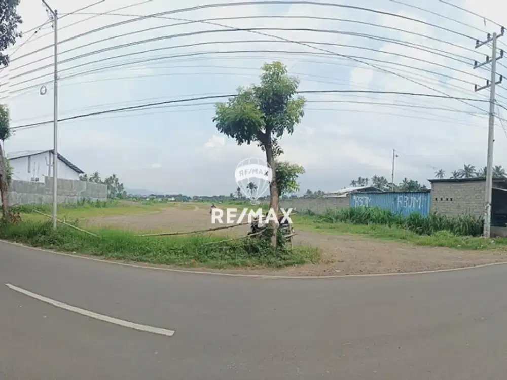 Di Jual Tanah di Jalan Lingkar Ketapang–Banyuwangi