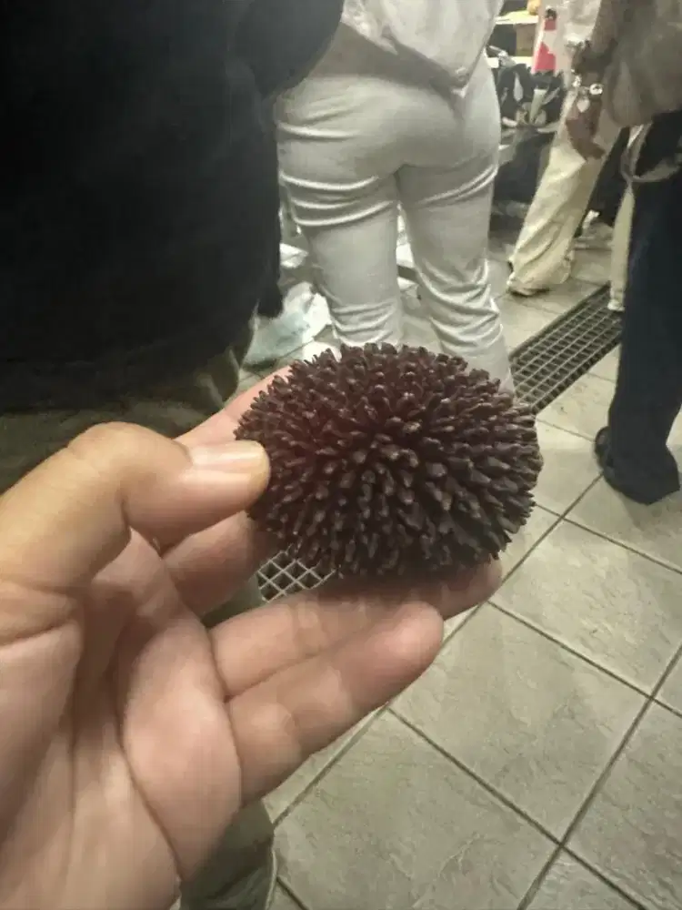 Butuh asisten rumah tangga